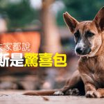 web_banner_0814_米克斯驚喜包