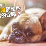 web_banner_1108_寵物保險