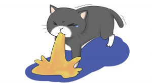 嘔 嘔 嘔 為什麼貓咪三不五時就嘔吐 Hotpets 哈寵誌 嘔 嘔 嘔 為什麼貓咪三不五時就嘔吐 Hotpets 哈寵誌
