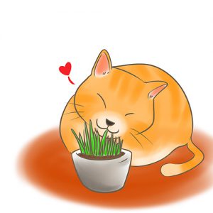 貓咪吃貓草 拷貝