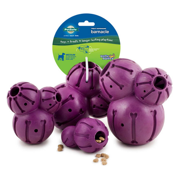 狗狗分離焦慮症-狗狗分離焦慮症-PetSafe®狗仔藤壺