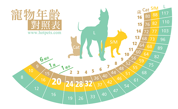 超級實用，自我檢測寶貝的高齡狀態-年齡對照表