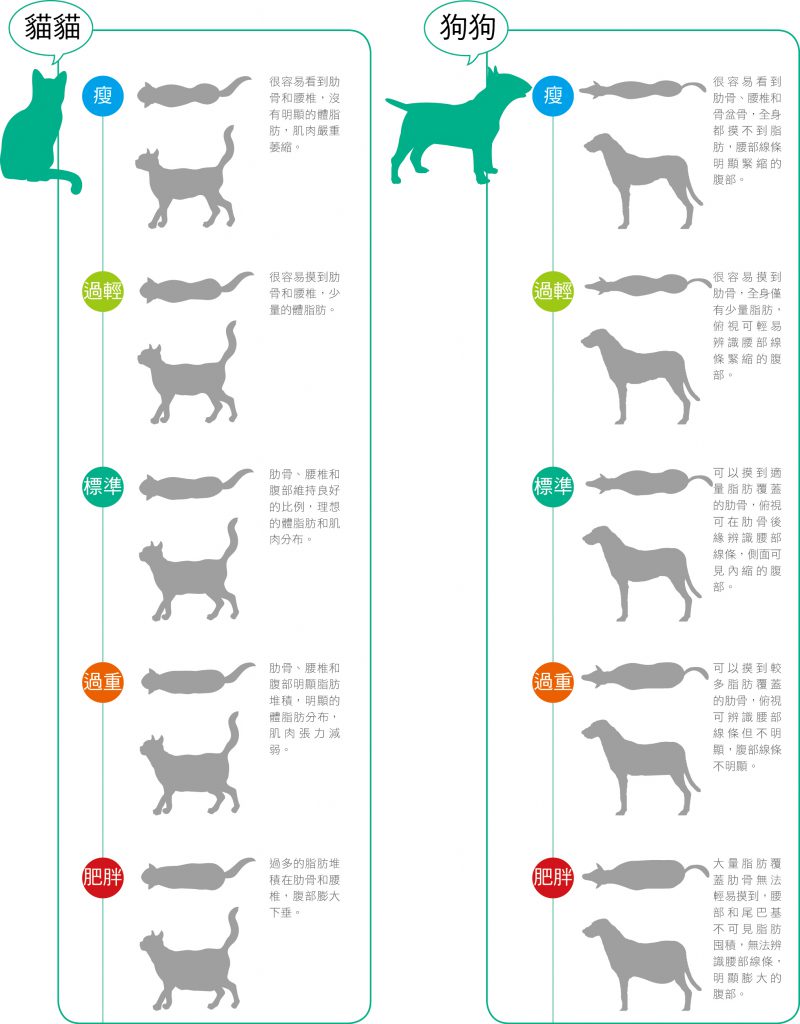 寵物健康體重管理slim Body Hotpets 哈寵誌 寵物健康體重管理slim Body Hotpets 哈寵誌