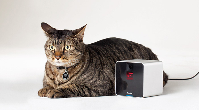 petcube-interactive-wi-fi-pet-camera-2