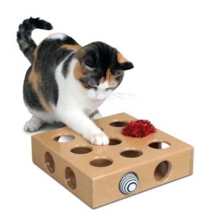 smartcat-peek-and-play-toy-box