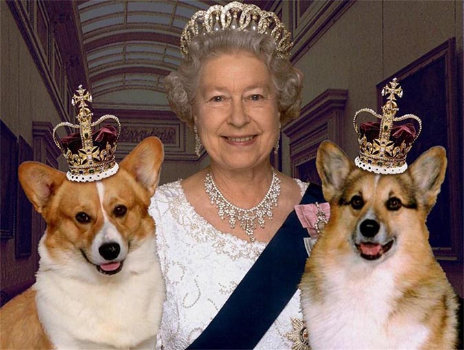 世界名人寵物-英國王室british-royal-family2-3