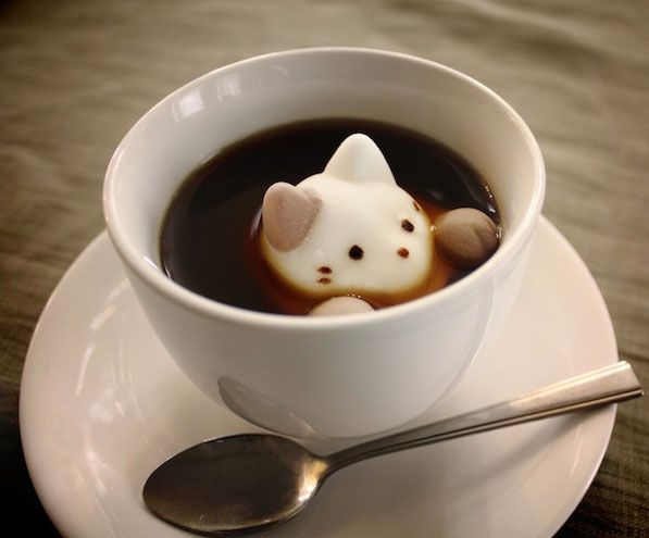 cat_latteart