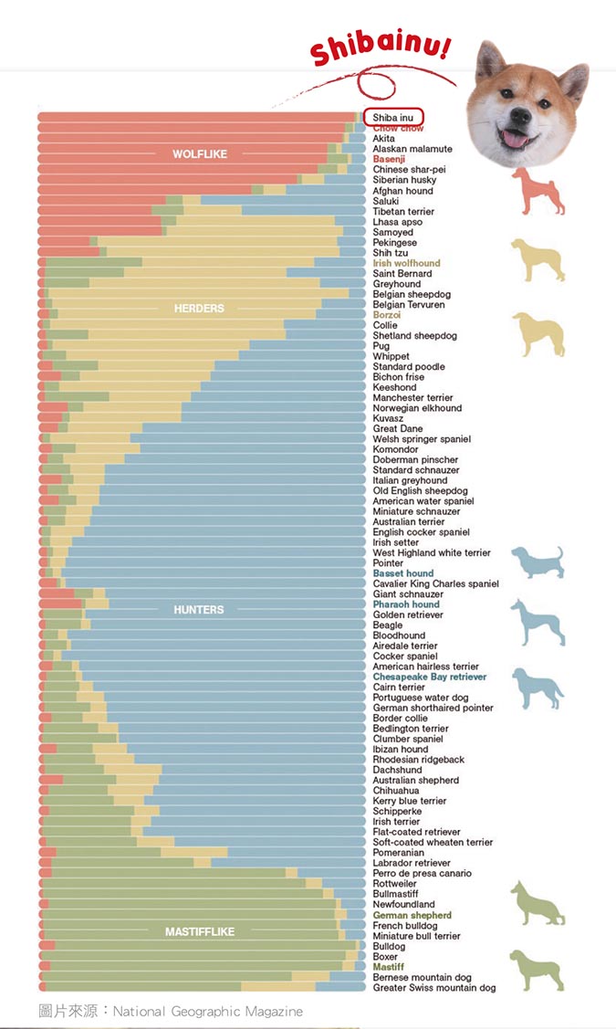 NationalGeographicMagazineShiba