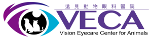 veca-logo-with-words