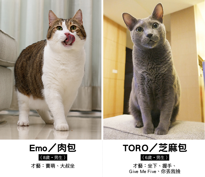 web_1011_emo和toro