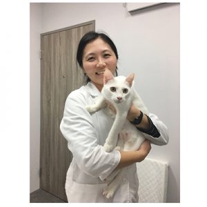 貓醫生的貓診所-謝富閔