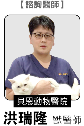 web_banner_0815_腸胃問題寵物中醫怎麼看_dr