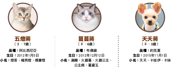 五燈蔣vs蔓蔓蔣的爭寵日記 Hotpets 哈寵誌