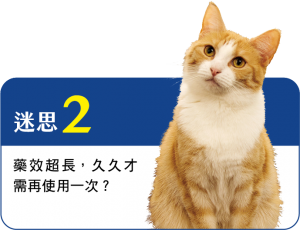 蟲蟲危機 除蚤四大迷思 你中了幾項 Hotpets 哈寵誌 蟲蟲危機 除蚤四大迷思 你中了幾項 Hotpets 哈寵誌