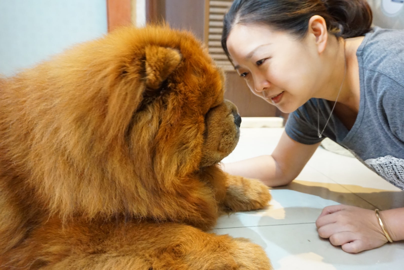 原本怕狗的露露媽，現在對鬆獅的愛儼然已經超越了一切