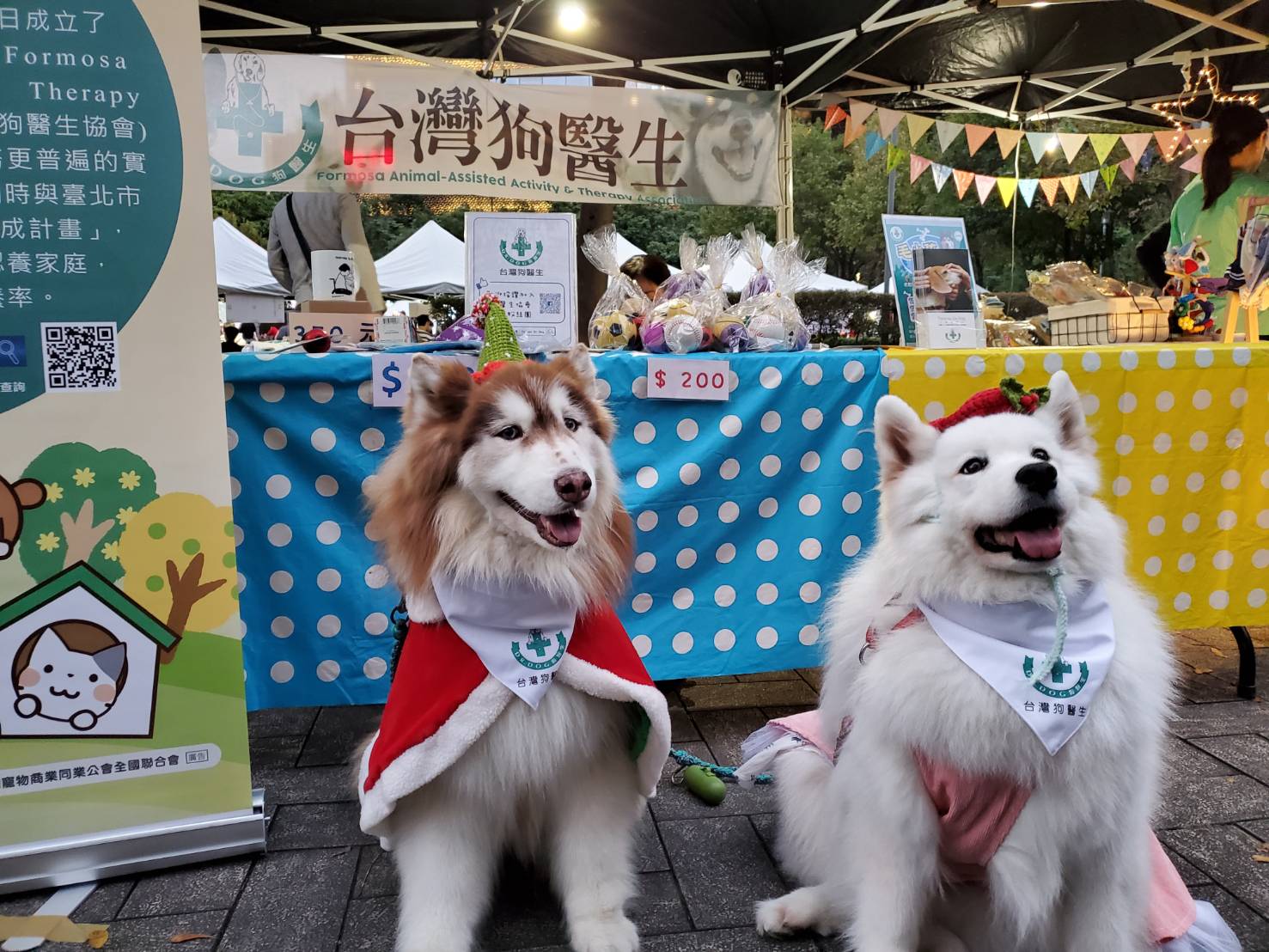 台灣狗醫生協會主要服務對象為弱勢族群，透過與狗兒之間的互動達到輔助治療的效果