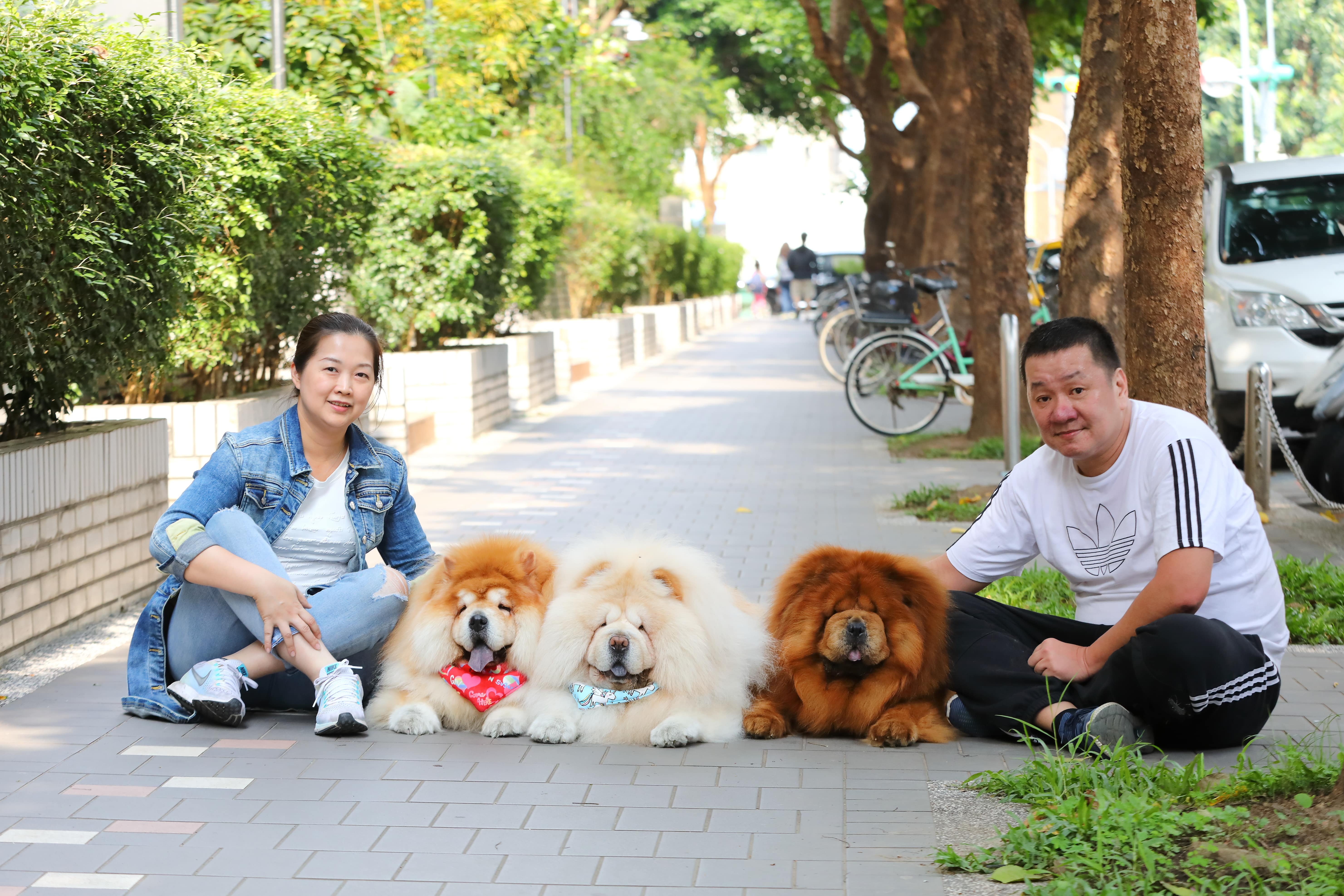 將狗狗視為自己的孩子，露露爸媽一肩扛起照顧飼養的責任