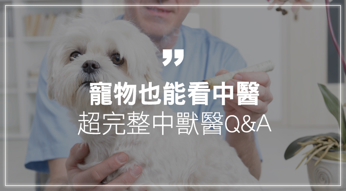 哈寵誌 寵物流行 哈狗 哈貓 哈鼠 哈兔 哈寵誌 寵物流行 哈狗 哈貓 哈鼠 哈兔