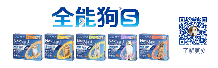 全能狗S | 內外寄生蟲一塊解決 (nexgard.com.tw)