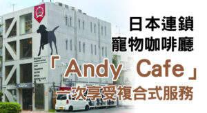 日本連鎖寵物咖啡廳「Andy Cafe」一次享受複合式服務