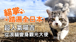 貓掌踏遍全日本！ 超人氣喵吉從浪貓變身觀光大使