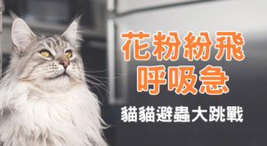 花粉紛飛 呼吸急 貓貓避蟲大跳戰