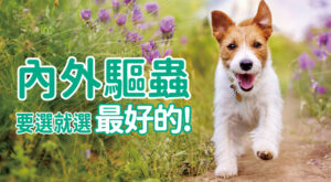 內外驅蟲要選就選最好的!  四大招 從內到外完整防護 皮膚、心腎、腸道、眼耳全面兼顧全能守護