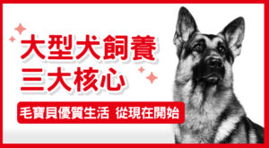 大型犬飼養三大核心 毛寶貝優質生活 從現在開始