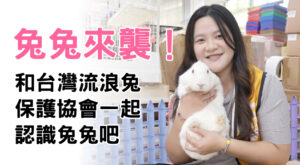 兔兔來襲！和台灣流浪兔保護協會一起認識兔兔吧