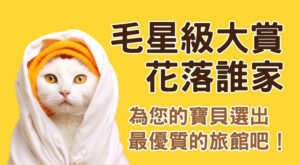 毛星級大賞花落誰家為您的寶貝選出最優質的旅館吧！