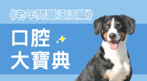 《老年問題汪汪篇》口腔大寶典