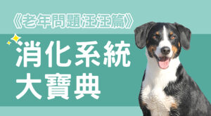 《老年問題汪汪篇》消化系統大寶典
