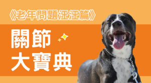 《老年問題汪汪篇》關節大寶典