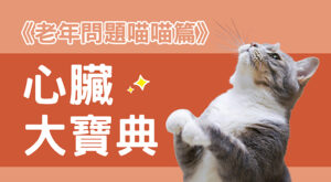 《老年問題喵喵篇》心臟大寶典