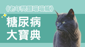 《老年問題喵喵篇》糖尿病大寶典