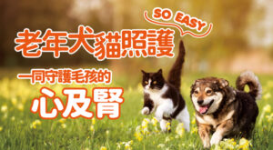 老年犬貓照護SO EASY一同守護毛孩的心及腎