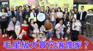 毛星級大賞花落誰家？萬眾矚目的十大寵物住宿