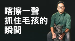 喀擦一聲抓住毛孩的瞬間 訓犬師兼攝影師的經驗百寶箱