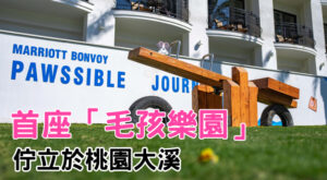 首座「毛孩樂園」佇立於桃園大溪