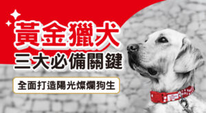 黃金獵犬 三大必備關鍵 全面打造陽光燦爛狗生