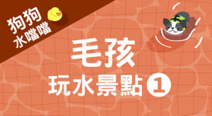 毛孩玩水景點1