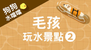 毛孩玩水景點2
