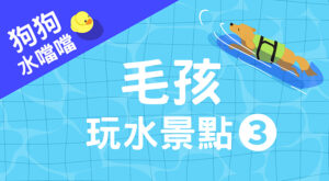毛孩玩水景點3