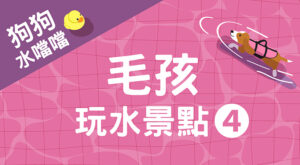 毛孩玩水景點4