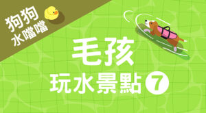 毛孩玩水景點7