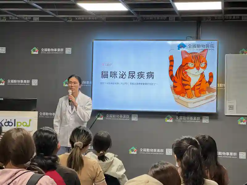 post-image-2026082402 貓咪泌尿疾病